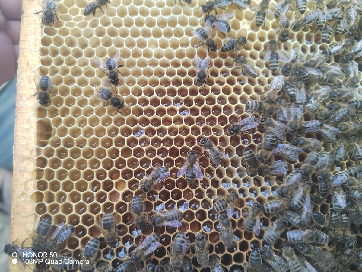 Крайние рамки залиты.