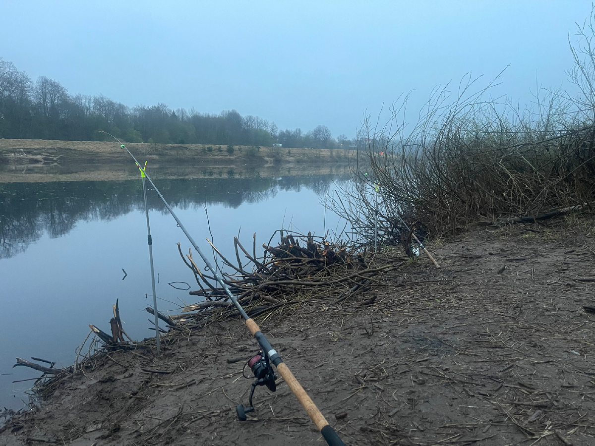 Доброе утро.