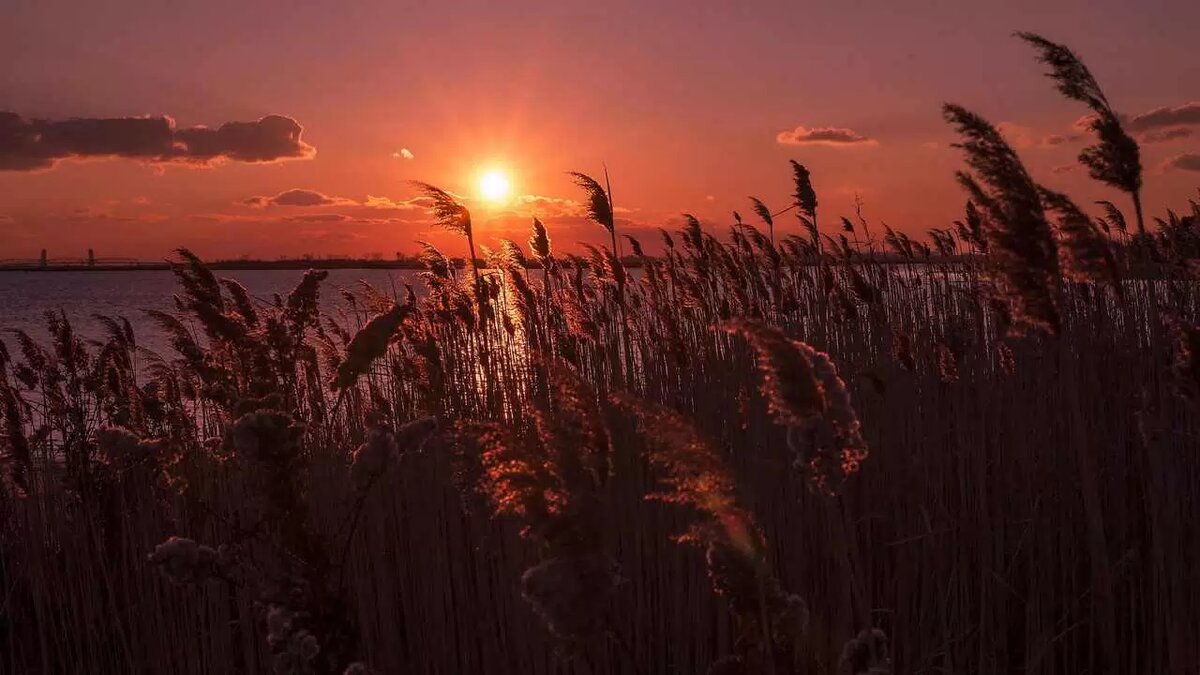 картинка из интернета