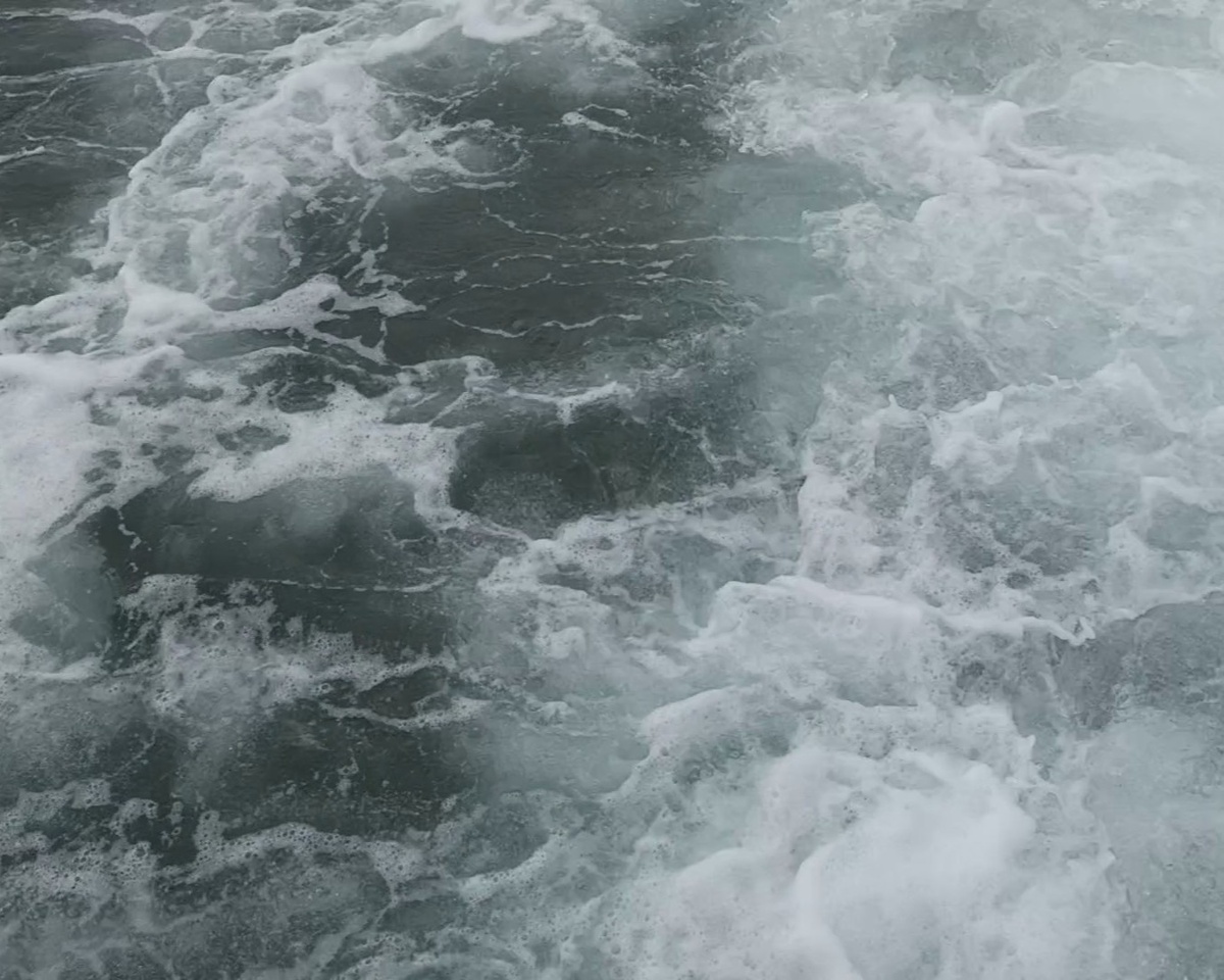 Адлер, Черное море, апрель, 2025 г.