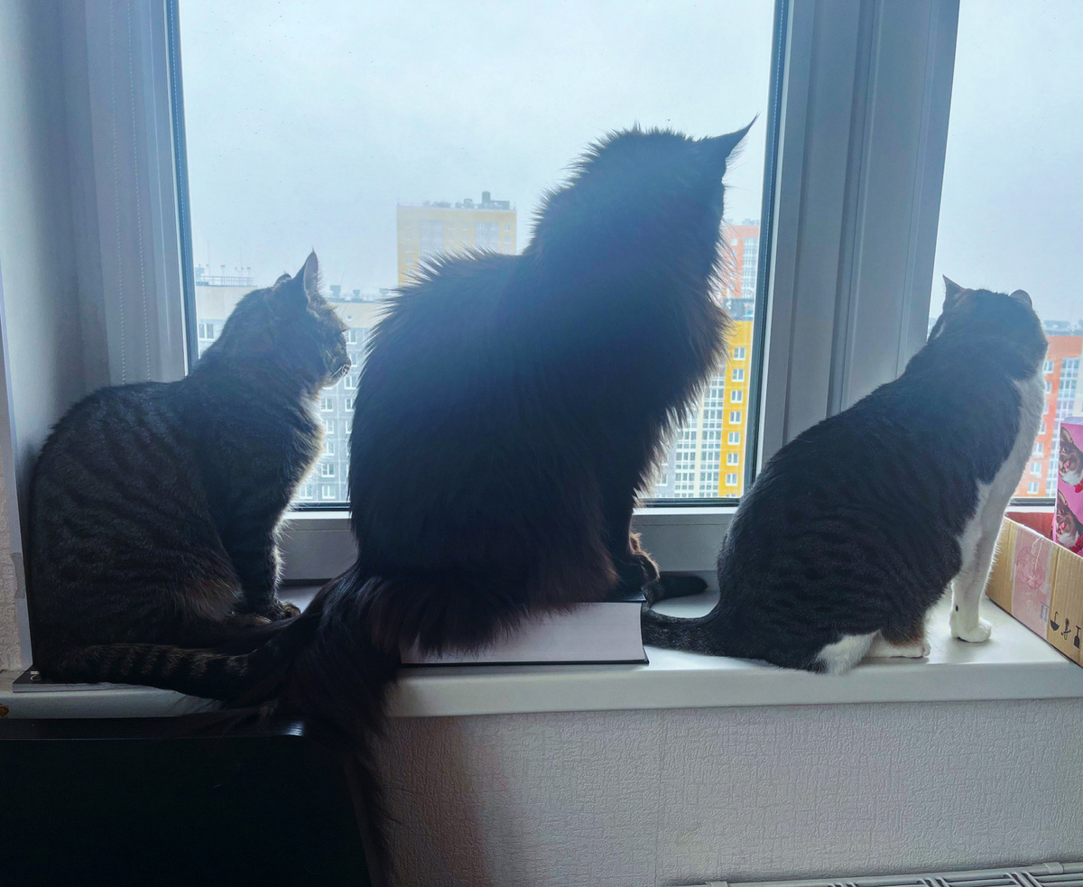 Фото автора 