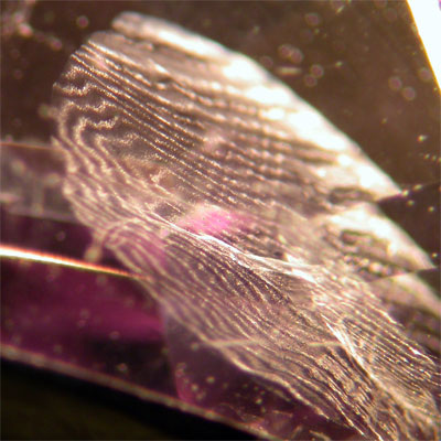 Природный аметист. Внутренняя шторка, если правильно называю.