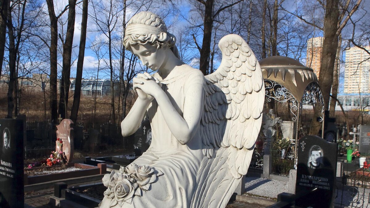 Фото: Zamir Usmanov/globallookpress.com