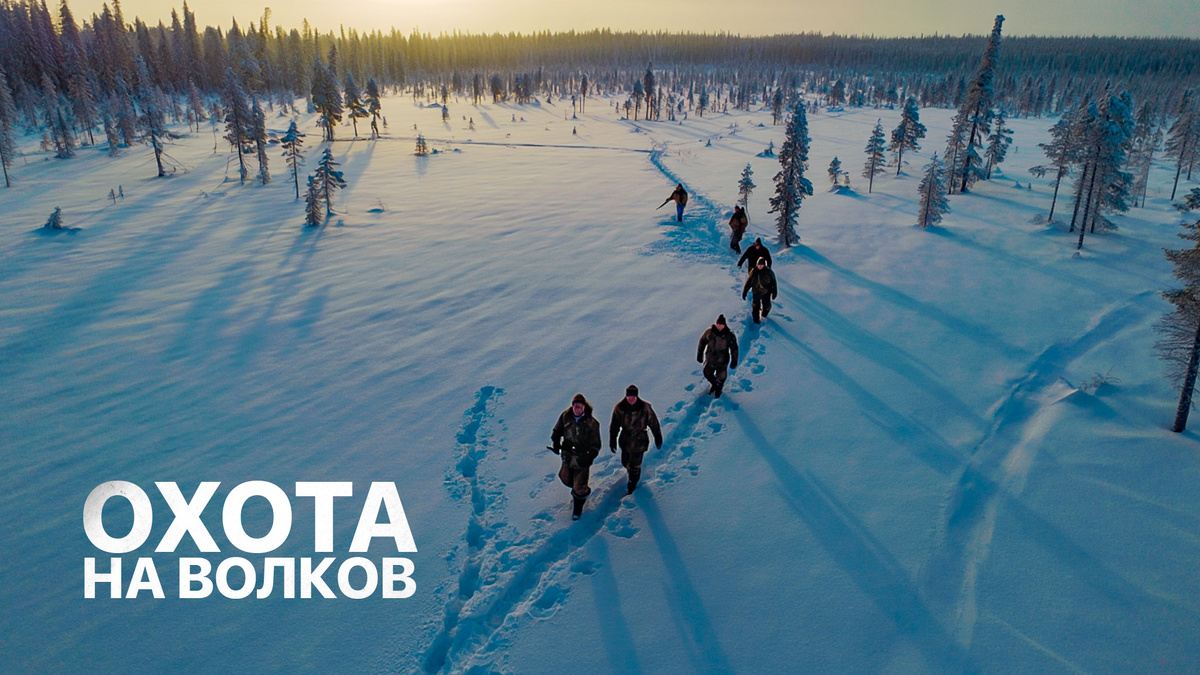 Изображение сгенерировано при помощи ИИ