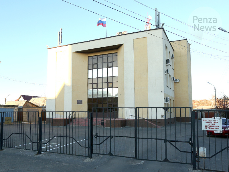    © Фото из архива ИА «PenzaNews»