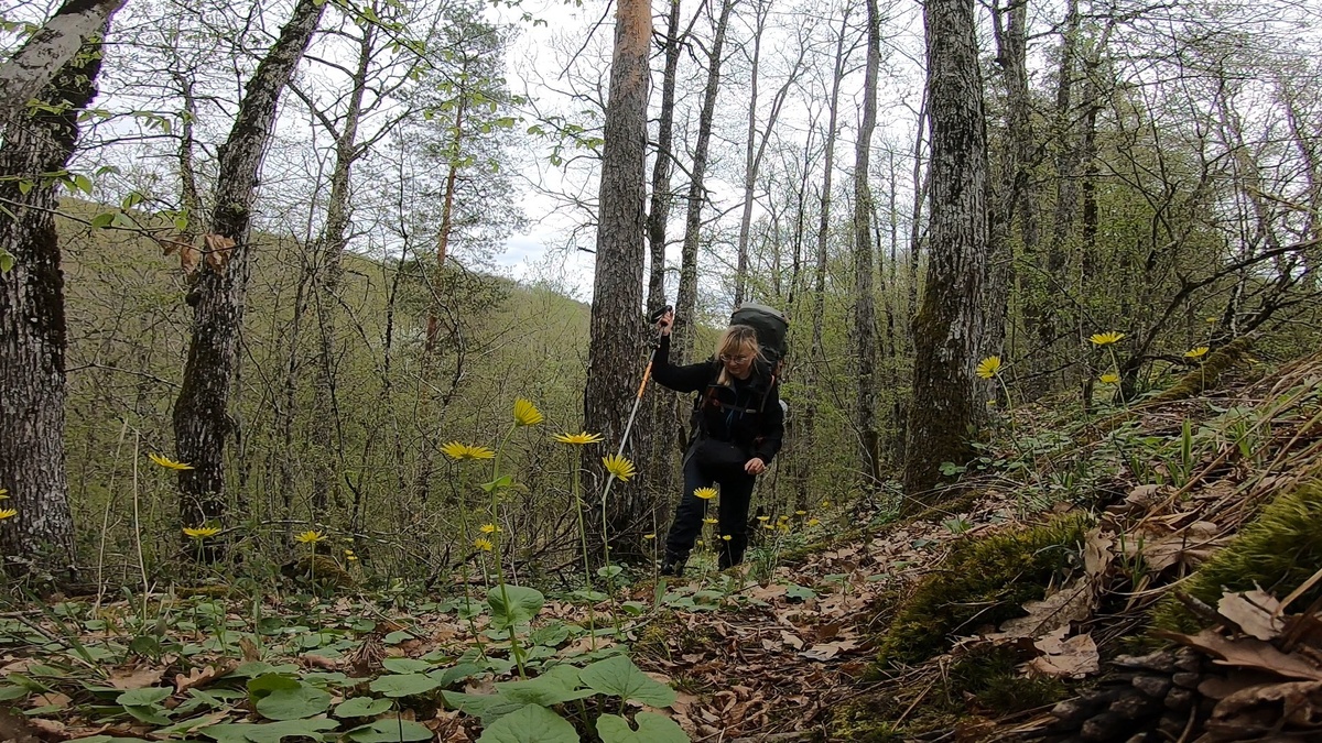 Иду по звериной тропе
