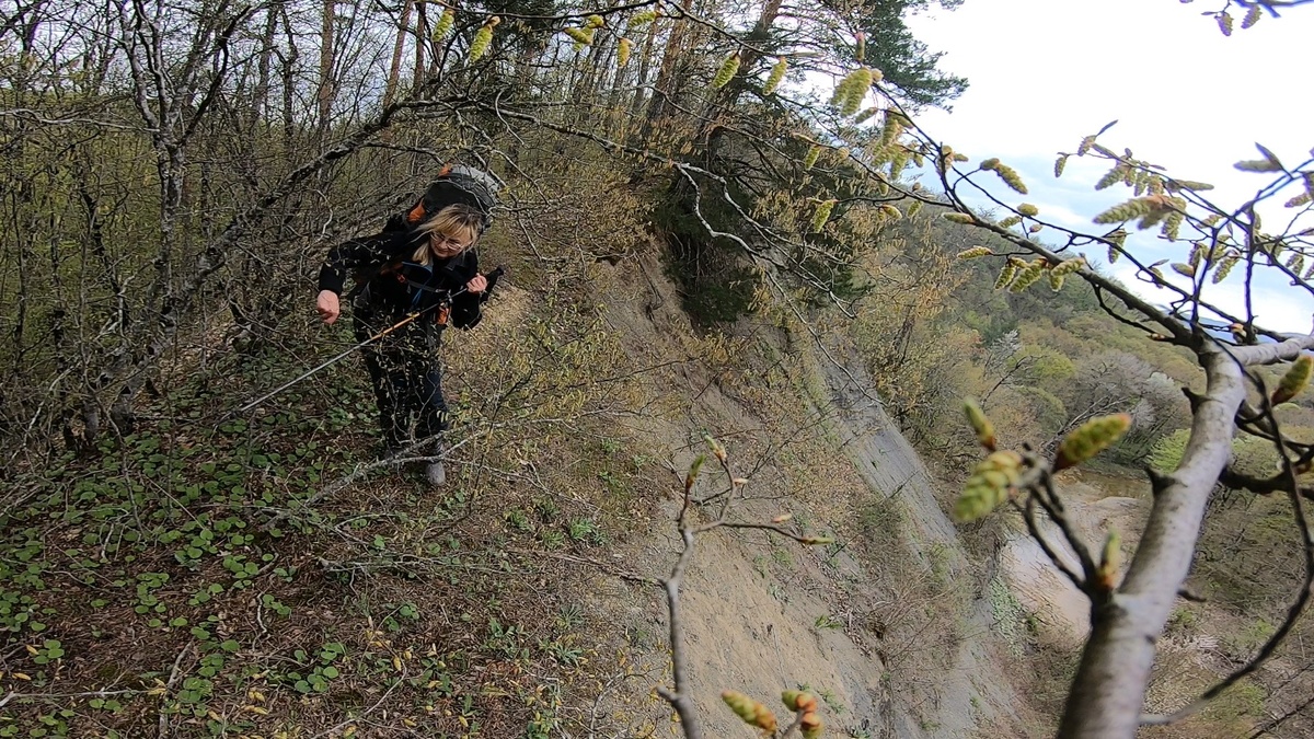 Сквозь ветки по краю обрыва