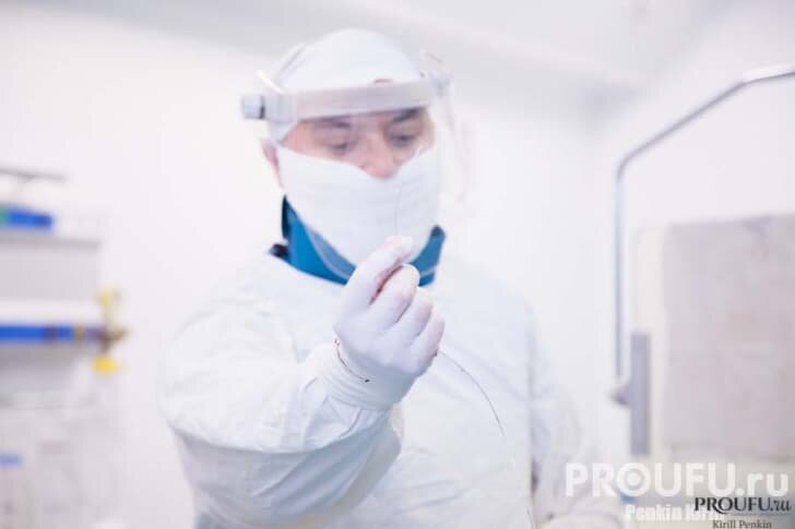    Фото: Пруфы.РФ