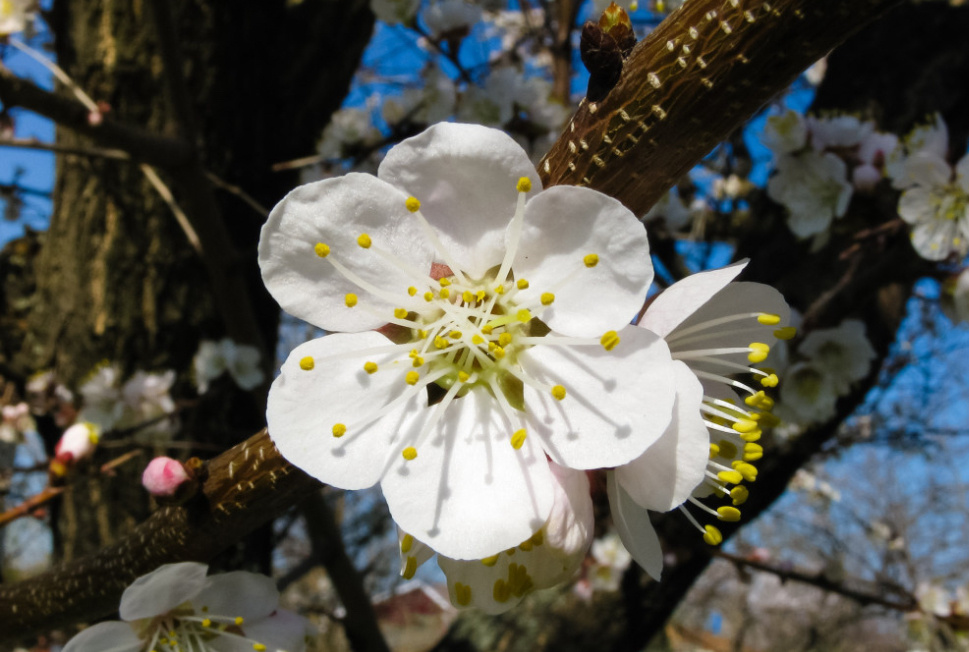    Фото: pxhere.com Редактор