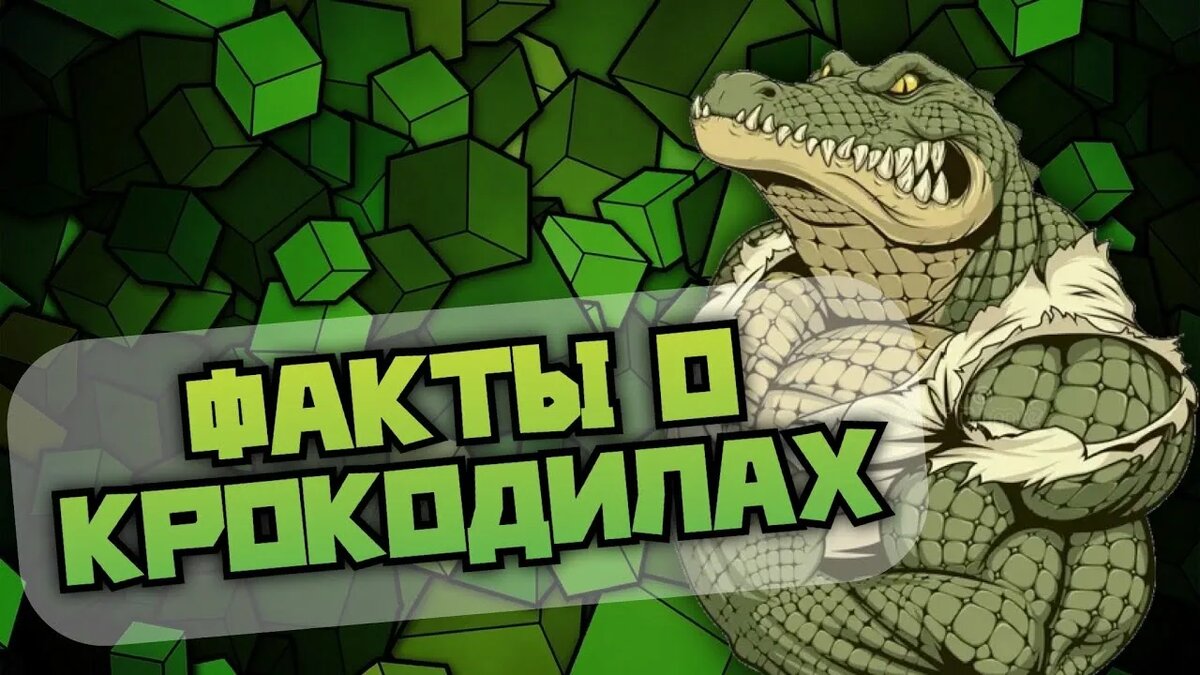 Всем привет, извините за долгое отсутствие.