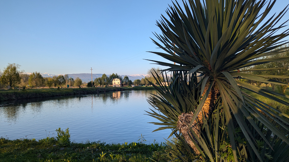 Пруды с рыбой