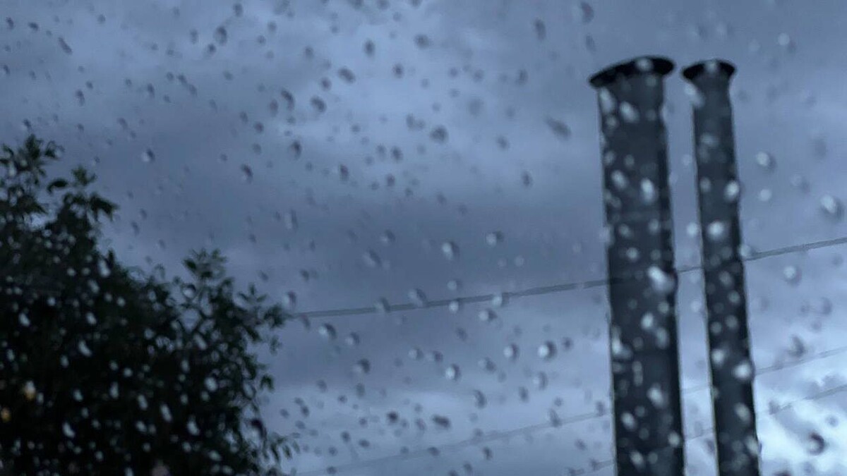    Фото: телеканал «Краснодар»