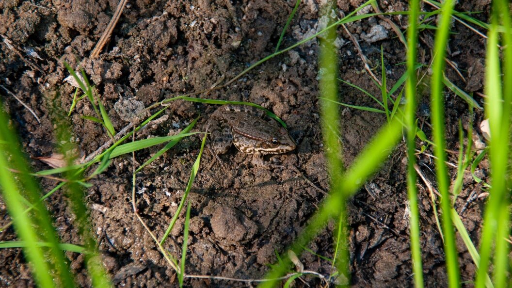    Svetlana Vozmilova/Global Look Press