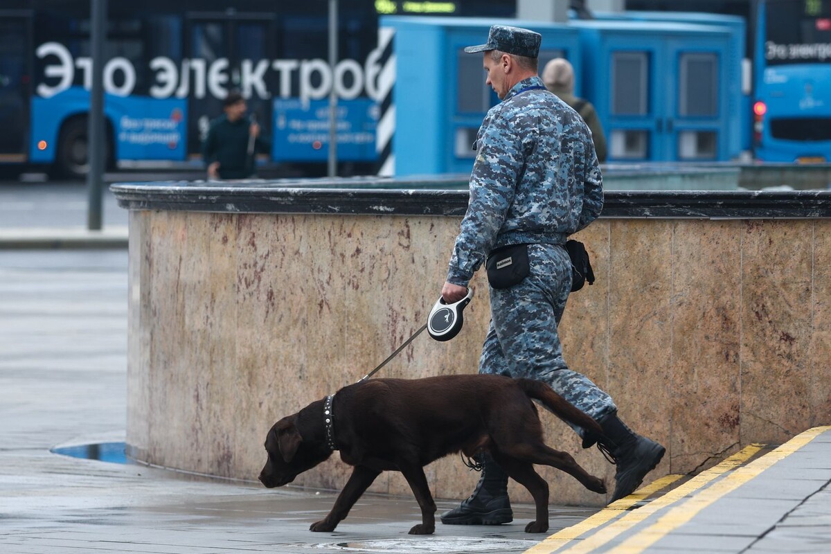     / Источник: © Shatokhina Natalia/Global Look Press