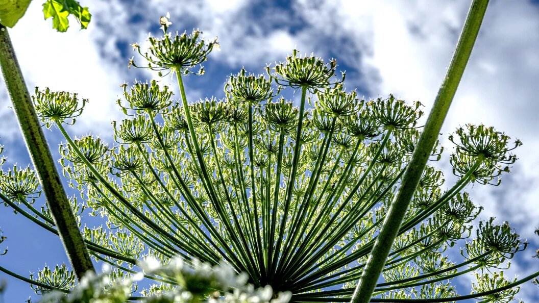    Фото: Konstantin Kokoshkin/Globallookpress