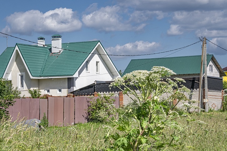    Фото: Konstantin Kokoshkin/globallookpress