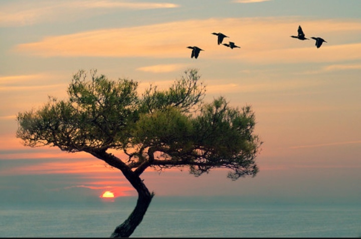 Фотография из открытых источников 