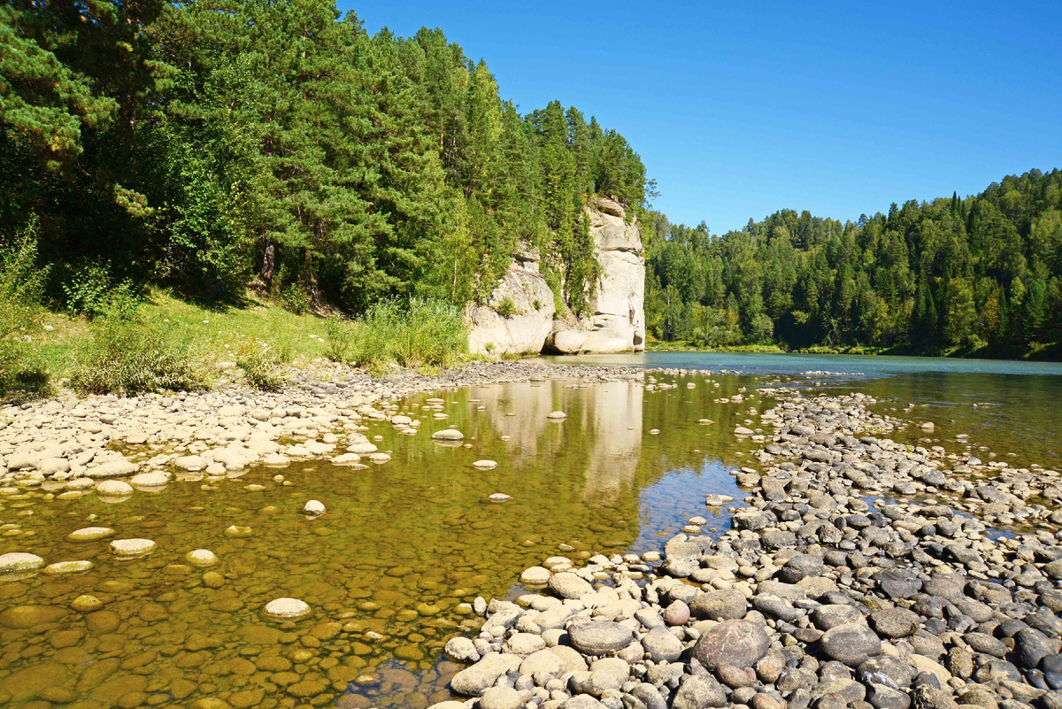 Вот та самая фотогроафия. Фото Ольга Шадрина