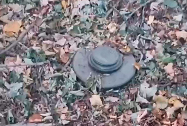 Мина C-3-B в лесной подстилке, в противопехотном варианте установки, без крышки на взрывателе (кадр из открытых источников)