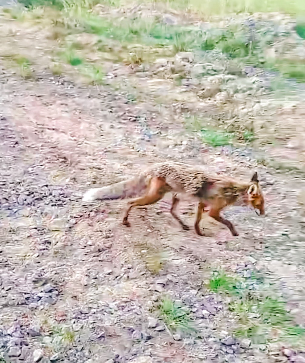 Фото друзей автора