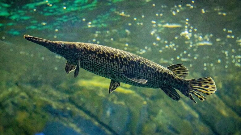 Взято здесь: https://lyl.su/10-types