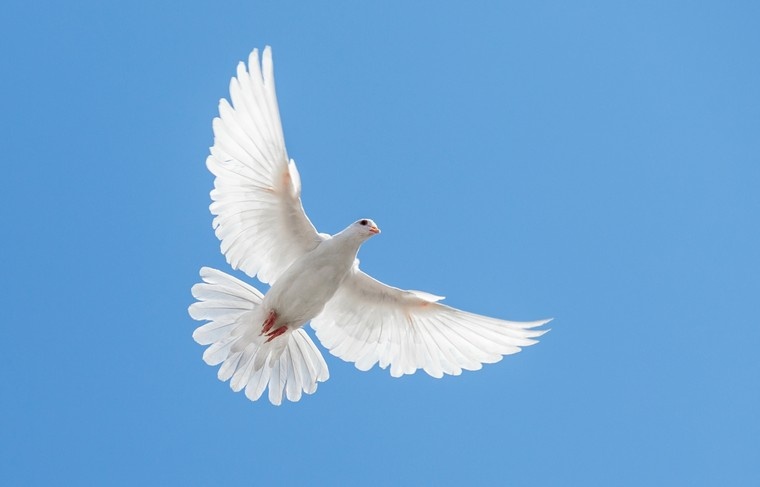    Shutterstock/FOTODOM