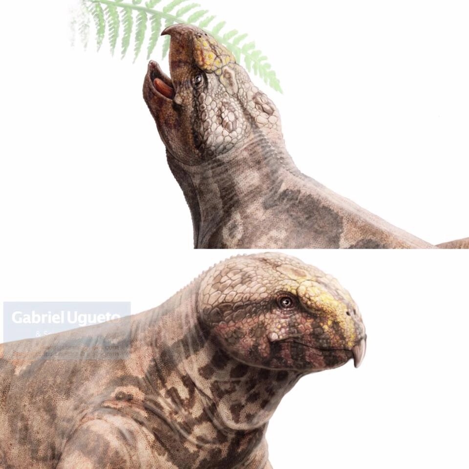 Фодоникс от Габриэля Угуэто.