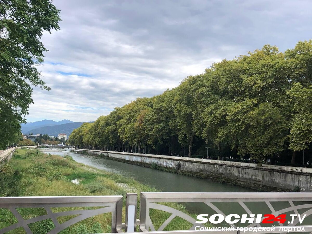    Фото: Сочи24 (Лидия Виленская)