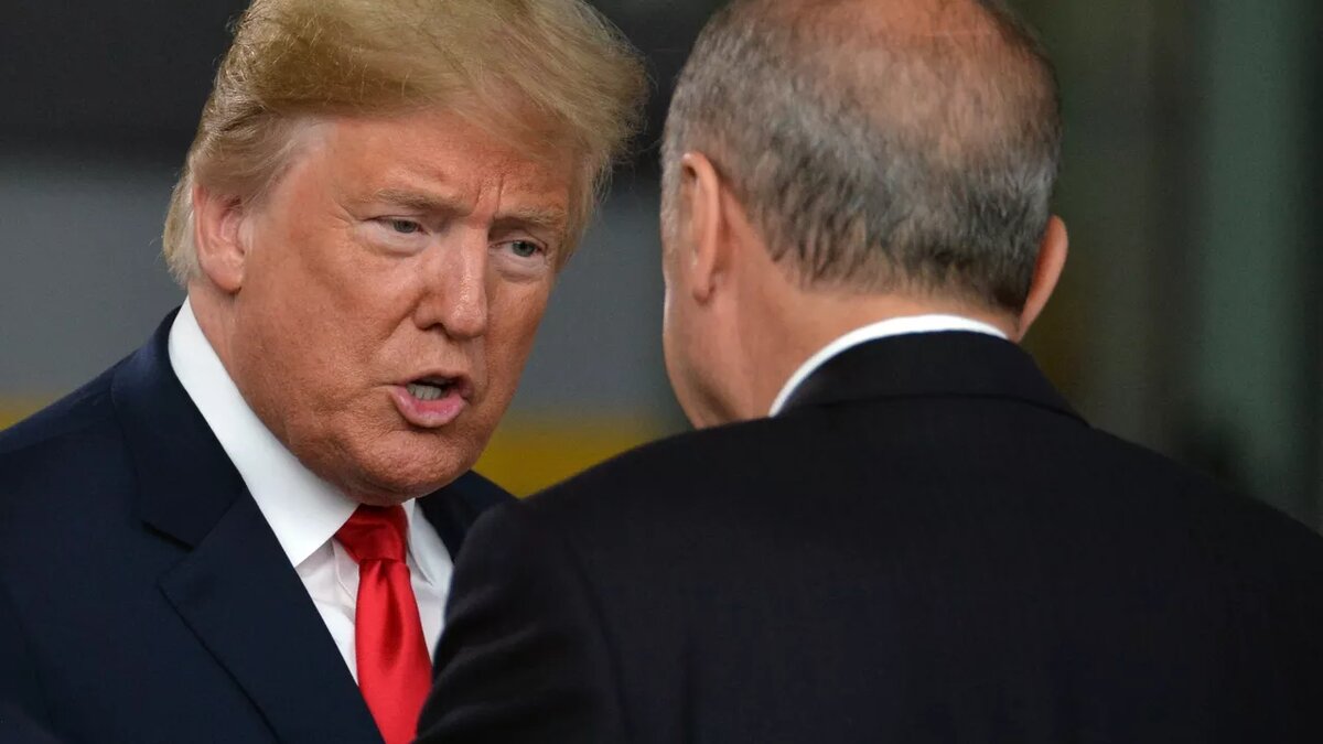 © Sputnik / Алексей Витвицкий / Перейти в фотобанк