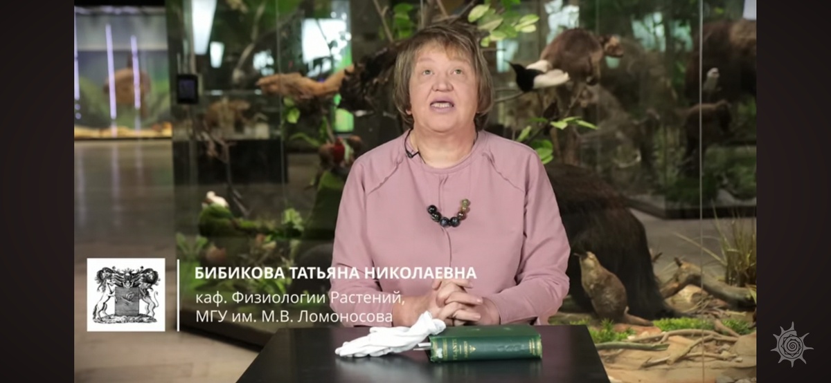 Кадр из выпуска "Поведение растений" 