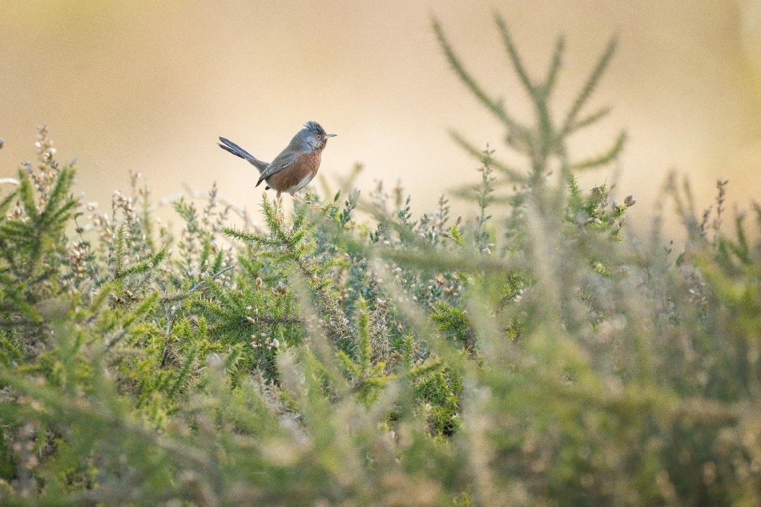 Источник: https://unsplash.com/ 