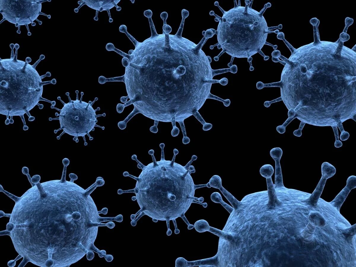 Яндекс картинки