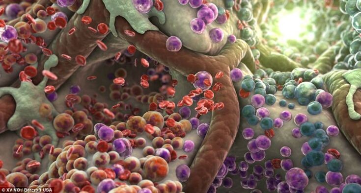 Яндекс картинки