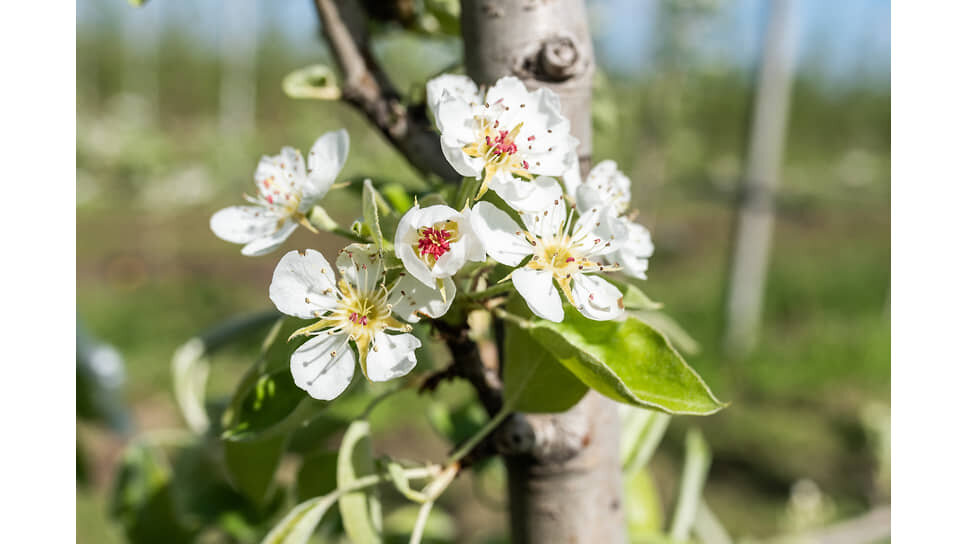 Фото: Олег Харсеев / Коммерсантъ