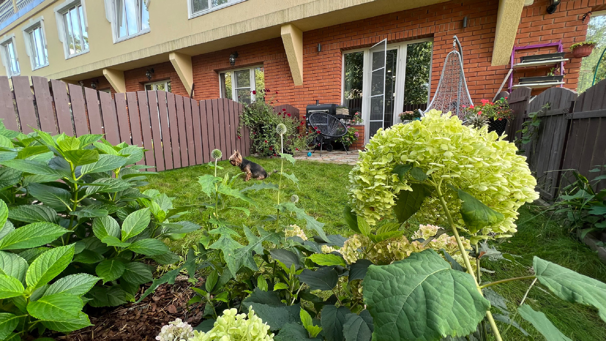 Осень 2023 : сад был уже активно засажен и имел симпатичный вид 