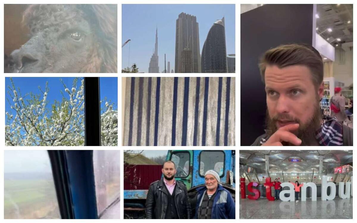    «Сливки соцсетей» – поездка на тракторе, проспавший сотрудник и творческие порывы Часть фото из Instagram (проект Meta, деятельность данной организации в России запрещена)