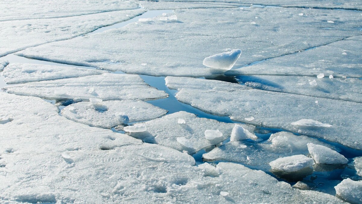    Фото: VanoVasaio/Shutterstock/Fotodom