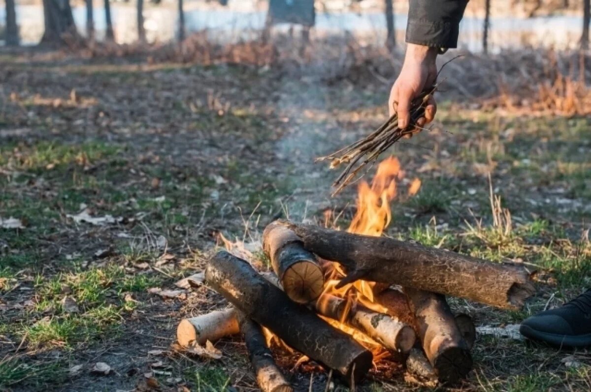    В Тамбовской области потушено 25 возгораний сухой травы за сутки