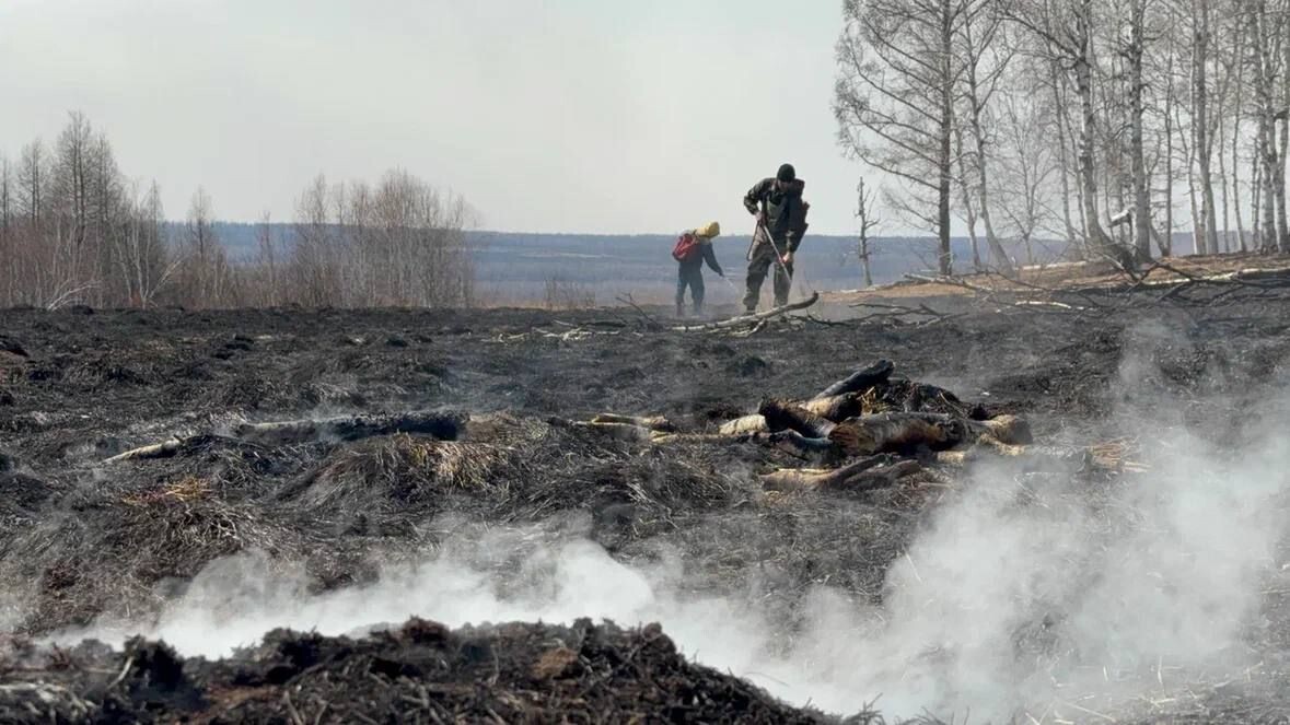    Фото: Telegram-канал Александра Осипова   📷   Фото: Telegram-канал Александра Осипова