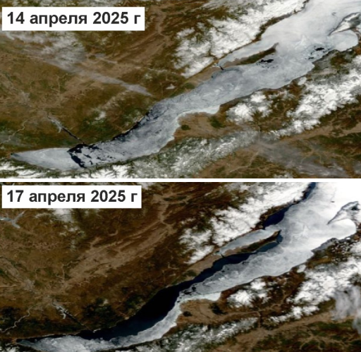 Фото: www.lin.irk.ru