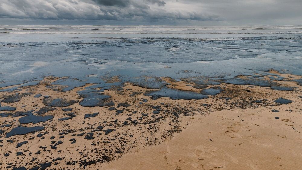    Фото: Wonderful Nature/Shutterstock/Fotodom