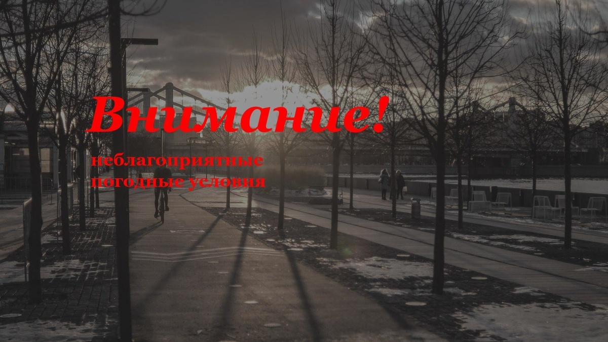    Жителей Башкортостана предупредили о сильном ветре