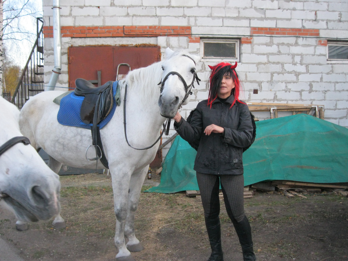 здесь хорошо видна эта "подушка" под седлом и вальтрапом