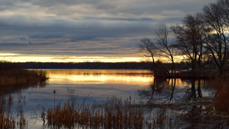 Фото: pxhere.com