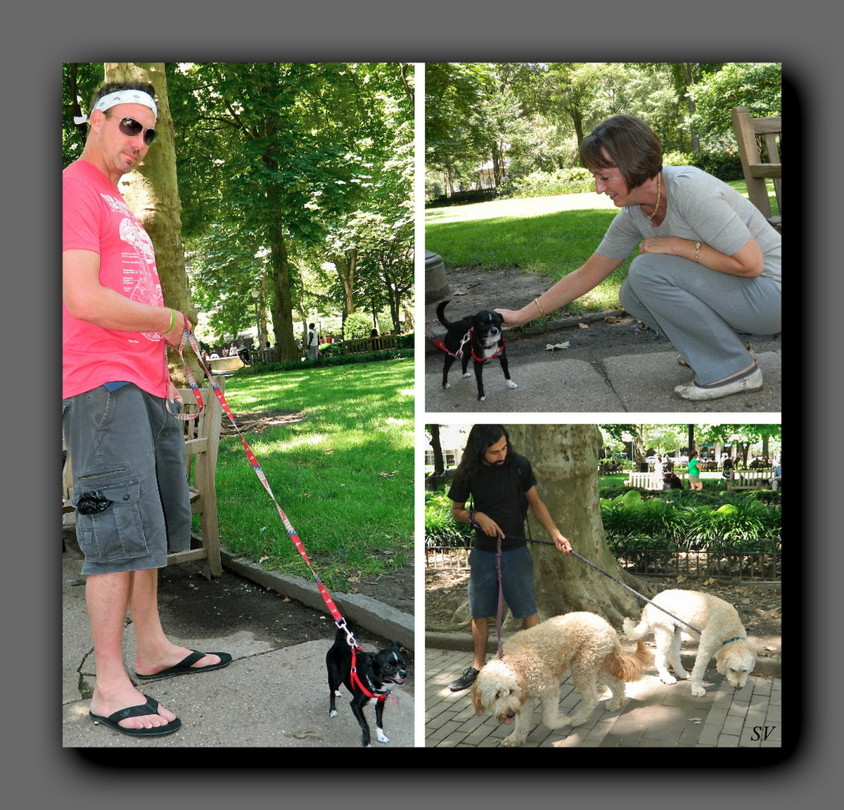 Случайные встречи. Снимки из моего фотоархива