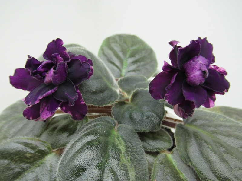 То, что я увидела утром