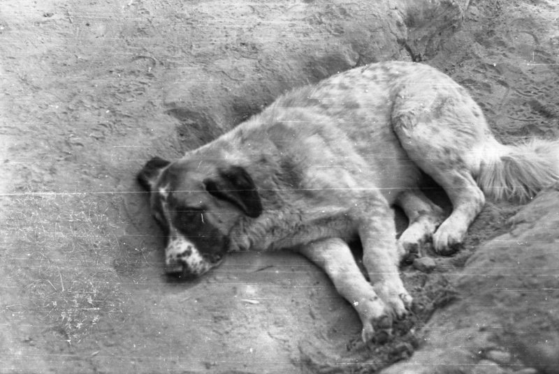 Сарбоз на отдыхе.