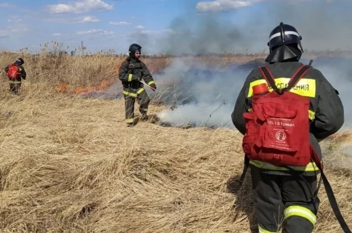    В ульяновском СНТ ликвидировали крупное возгорание сухой травы