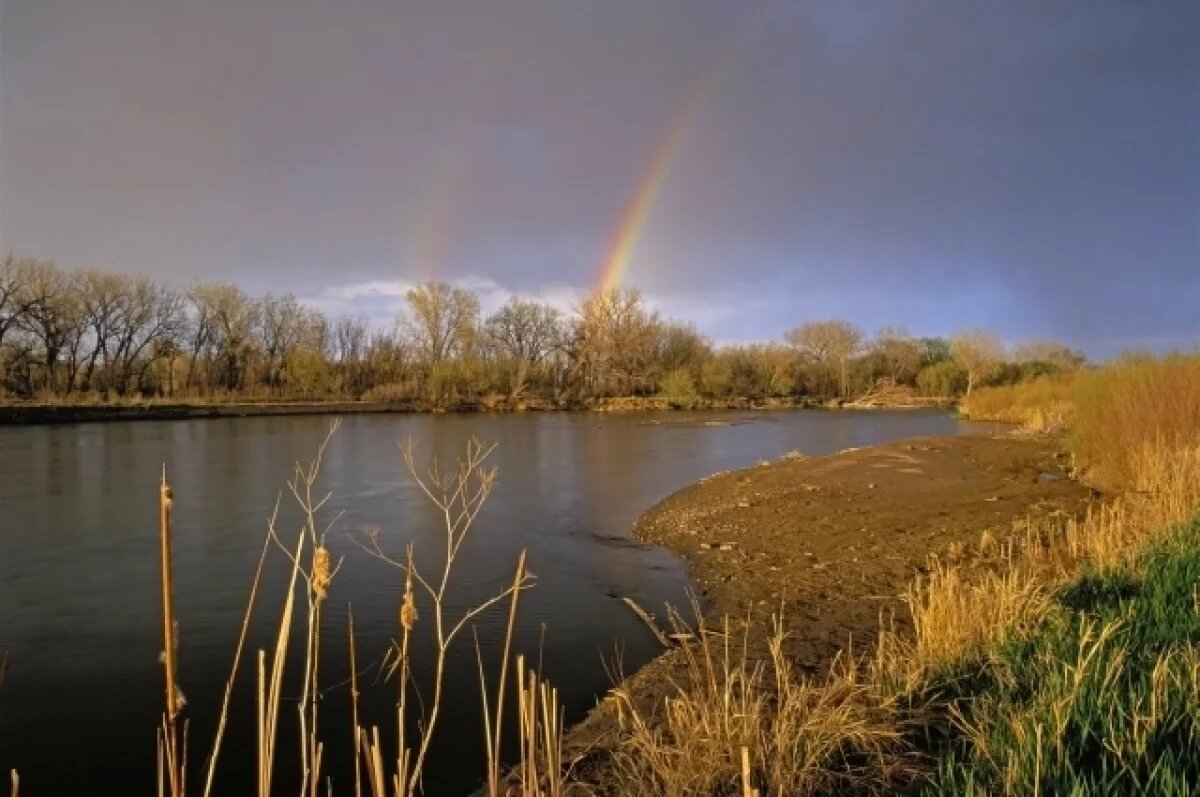    При крушении небольшого самолета в США погибли три человека