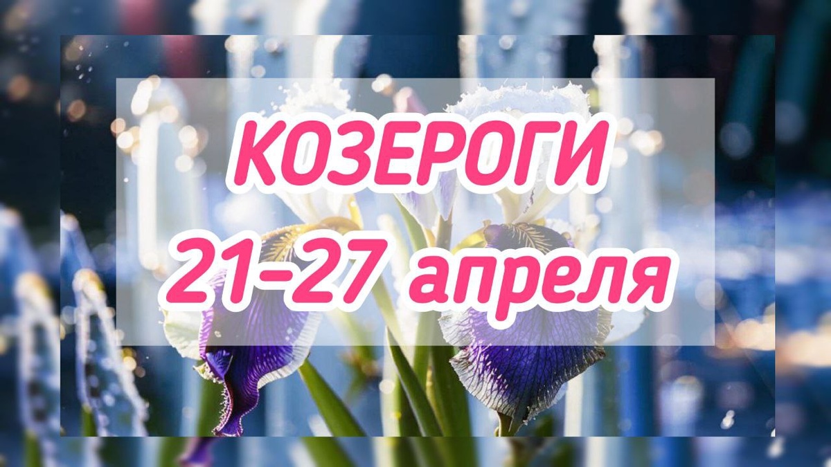 фото принадлежит автору канала